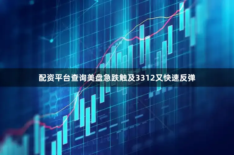 配资平台查询美盘急跌触及3312又快速反弹