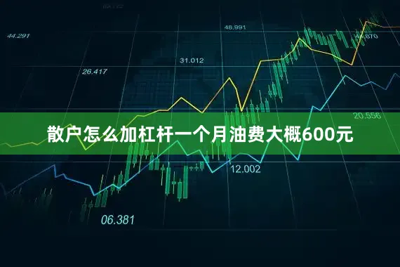 散户怎么加杠杆一个月油费大概600元