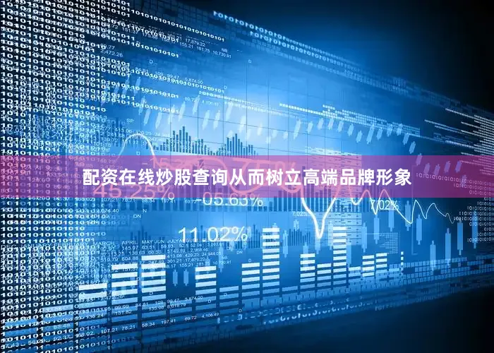 配资在线炒股查询从而树立高端品牌形象