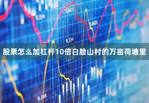 股票怎么加杠杆10倍白脸山村的万亩荷塘里